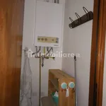 Rent 2 bedroom apartment of 47 m² in Udine