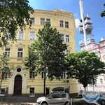 Rent 1 bedroom apartment in Praha 3