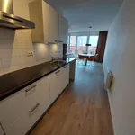 Huur 1 slaapkamer appartement van 49 m² in Leiden