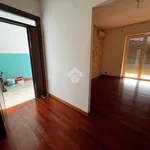 Rent 4 bedroom apartment of 110 m² in Colleferro