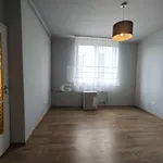 Rent 2 bedroom apartment of 50 m² in Miskolc