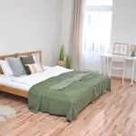 Studio o rozloze 45 m² v Brno