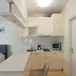 Rent 1 bedroom apartment of 28 m² in Grad Rijeka