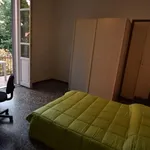 Rent 5 bedroom apartment in Turin