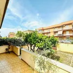 Rent 2 bedroom apartment of 60 m² in Roma