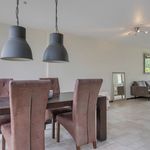 Rent 5 bedroom house of 126 m² in Vlietwijk