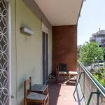 Rent 5 bedroom apartment in Rome