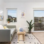 Rent 2 bedroom apartment of 46 m² in Trondheim