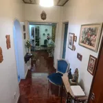 Alugar 4 quarto apartamento em Setúbal