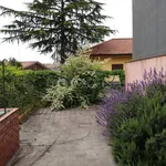 Rent 4 bedroom house of 140 m² in Nicolosi