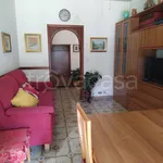 Rent 3 bedroom apartment of 80 m² in Torino