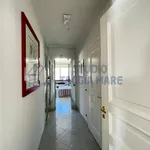 Rent 4 bedroom apartment in Taggia