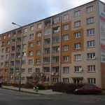 Rent 1 bedroom apartment of 31 m² in Karlovy Vary