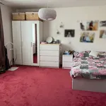 Rent 4 bedroom apartment of 146 m² in Ústí nad Labem