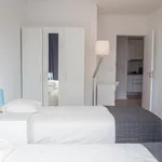 Rent 1 bedroom apartment in Porto