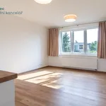 Rent 1 bedroom apartment of 40 m² in Capital City of Prague