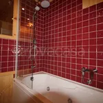 Rent 1 bedroom apartment of 30 m² in Sestriere