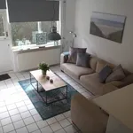 Rent 1 bedroom house of 44 m² in Dobbelmannduin