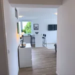 Rent 1 bedroom apartment of 35 m² in Osnabrück