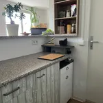 Rent 3 bedroom apartment of 57 m² in Chemnitz