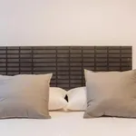 Rent 6 bedroom apartment in Valencia