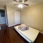 Rent 1 bedroom apartment in Kingston