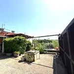 Rent 3 bedroom house of 65 m² in Velletri