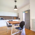 Rent 1 bedroom apartment in Milano