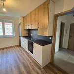 Pronájem bytu 2+1 55m²