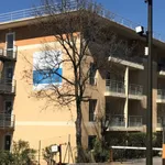 Rent 1 bedroom apartment of 35 m² in Biot