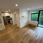 Rent 1 bedroom apartment in Queens