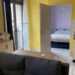 Appartement de 41 m² avec 2 chambre(s) en location à Romans-sur-Isère