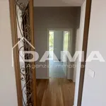 Rent 4 bedroom apartment of 98 m² in Forlì