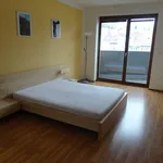 Rent 2 bedroom apartment of 65 m² in  ulice Hybešova