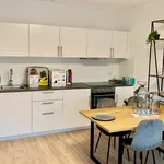 Huur 1 slaapkamer appartement van 42 m² in Den Haag