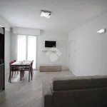 Rent 2 bedroom apartment of 55 m² in Monza