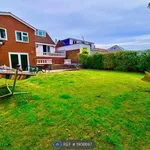 Rent 3 bedroom house in West Midlands