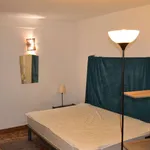 Appartement de 28 m² avec 1 chambre(s) en location à Toulouse