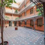 Rent 1 bedroom apartment of 50 m² in seville