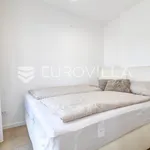 Rent 1 bedroom apartment of 44 m² in Zagreb