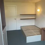 Rent 1 bedroom apartment in Leuven