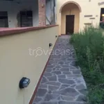 Rent 3 bedroom apartment of 100 m² in Montelupo Fiorentino