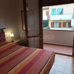 Rent 2 bedroom apartment of 45 m² in Rosignano Marittimo