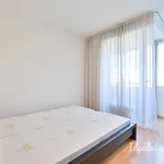 Rent 3 bedroom apartment in Brno