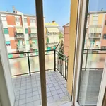 Rent 3 bedroom apartment of 100 m² in Frosinone