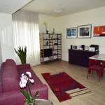 Rent 1 bedroom apartment in Rome