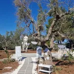 Trullo via Selva di Fasano 83, Castellana Grotte