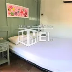 Rent 1 bedroom apartment of 60 m² in Pisa