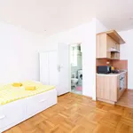 Rent 1 bedroom apartment of 34 m² in prague