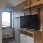 Rent 2 bedroom apartment of 55 m² in Nowy Sącz